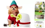 AFP Automatic Dog Ball Launcher Automatic Ball Launcher for Mini(2 inch Balls)