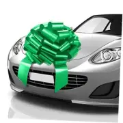 Big Car Bow (23 inch) Round Shape Gift Bows, Giant 23 Inch (Pack of 1) Green