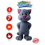 Touching Talking Tom Cat With Recording Music Intelligent Talk Back.Kids Toy.