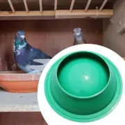 DIY Pigeon Nesting Model Race Pigeon Bowl for Quails Parrots