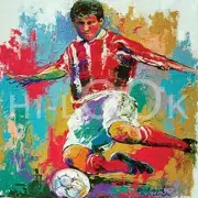 Hi-Look Microfiber Cleaning Cloth - Soccer