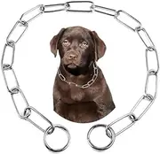 Choker Collar for Dogs,Silver Metal Slip Link Dog Chain Collar Heavy Duty Training Martingale Dog Collars for XXS XS Small Medium Large Breed Pets Boys Girls