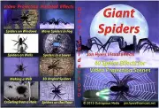GIANT SPIDERS, HALLOWEEN WINDOW PROJECTION DVD 2015JON HYERS