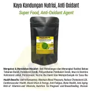 Moringa oleifera Daun Kelor-Anti Oxidant Immune 100 Caps Powder-Premium Quality