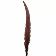 20" To 30" Silver Pheasant Tail Feather - Chocolate Brown ((SECONDS))