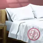 Luxury Egyptian Cotton Twin Sheet Set - 800 Thread Count 3 PC Light Blue Egyp...