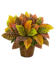 Nearly Natural Garden Croton Artificial Plant in Basket (Real Touch)