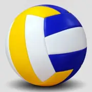 Pro Competition Volleyball For Beach Outdoor Size 5 Increased Durability