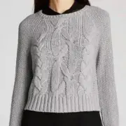 NWT Eileen Fisher Project Lofty Merino Cable Sweater Size Small Moon Gray