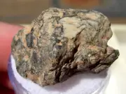 8.96 grams Sebkha el Melah 001 Meteorite Enstatite achondrite (Aubrite) with COA