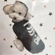 Halloween Costumes for Puppy/Small Dogs/Cats - Skeleton Cloak w/ Hat