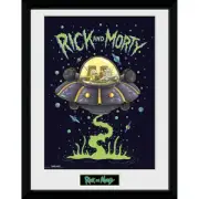 Rick and Morty Ship 12 x 16 Inches Framed Photograph