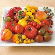 Tomato Mix 40 Seeds All Types Mixed Spring Summer Vegetable Garden Rare
