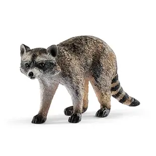 Schleich 史萊奇動物模型 浣熊 SH14828