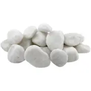 2 to 3 inch Large Snow White Lawn Garden Landscape Pebbles Rocks Stones (30 lbs)