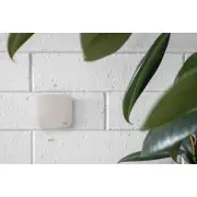 Peak Design Mobile - Wall Mount - Bone
