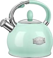 RETTBERG Tea Kettle for Stovetop Whistling Tea Kettles Modern Green Stainless Steel Teapots, 2.64 Quart (Mint Green)