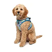 FuzzYard Party Mix Step In Dog Harness Blue