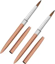 HEATSHAKING 2Pcs Nail Art Liner Brushes Lightweight Precision Drawing Tools for Gel Polish Art for DIY Manicure Salon Use Durable Versatile for Creative Nail Techniques