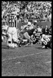Green Bay Packers Fullback Jim Taylor during the St Louis Cardinal- Old Photo 7