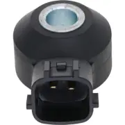 Knock Sensor Holstein 2KNC0485