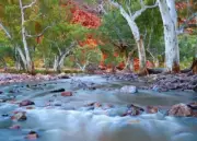 QPuzzles 1000 Piece Jigsaw Puzzle - Ken Duncan - Outback Revival