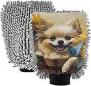 XYMZR Pomeranian Dog Sunflower Cute Absorbent Microfiber Car Wash Mitt, Funny Cute Anime Scratch Free for Cars Cleaning, Home Cleaning Mitts, 2 Pack, 10.24” L x 7.09” W
