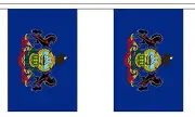 PENNSYLVANIA U.S. STATE BUNTING 9 metres 30 flags Polyester flag
