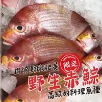 在飛比找蝦皮購物優惠-【帥哥魚】🔥限定海魚🔥 野生赤鯮 500g 赤鯮 野生赤鯮魚