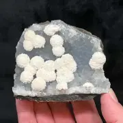 Thomsonite Radiating Snowball Like Crystals on Blue-Gray Quartz 265g