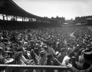The Crowd At Lords 1949 OLD CRICKET PHOTO