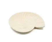 Rayell Harp Shell Trinket Tray Beige Home Decor/Storage Container MDF 23x20x2cm