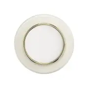 Popsockets 808938 Magsafe PopGrip - Enamel Coconut Creme.WP