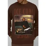 Mens Chocolate Oversized Ice Cube License Sweatshirt