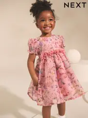 Pink Fairy Girl Flower Print Corsage Dress (3mths-8yrs) (F66646) | $50 - $63