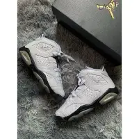 在飛比找Yahoo!奇摩拍賣優惠-【正品】日本Air Jordan6 Alligator Gs