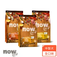 在飛比找蝦皮商城優惠-【now】狗狗 鮮肉無穀天然糧 100克－全口味｜試吃 嘗鮮