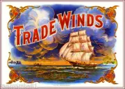 c1909 Trade Winds Ship Smoke Vintage Cigar Tobacco Box Crate Inner Label Print