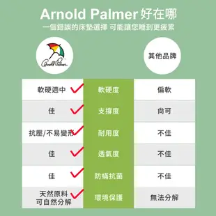 【Arnold Palmer雨傘牌】台製雙人加大6尺5cm 防蟎抗菌 天然乳膠床墊