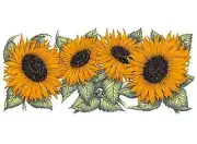 Sunflower Cup Wrap Wraparound 1 pc 7 1/2" X 3 1/2" Waterslide Ceramic Decal