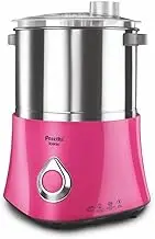 Preethi Iconic WG 908 1.25 Litre Wet Grinder