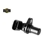 RAE Crankshaft Position Sensor - SC366GEN