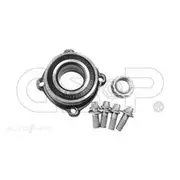 GSP Wheel Hub Assembly - 245012K