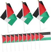 Sewroro 50 Pcs Palestine Hand Flags for Sports Clubs Mini Flags for Celebrations Pole for Events