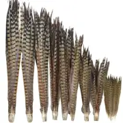 Wholesale Natural Ringneck Pheasant Feathers for Crafts 10-70 cm Plumes DIY