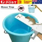 NEW Mice Humane Bucket Auto Reset Rat Trap Catch Walk The Plank Mouse Trap Catch