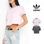 ADIDAS ORIGINALS 灰/粉 短袖T恤 女款 純棉 運動 休閒 短版 上衣 短T 三葉草 DX4241