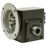40:1 Right Angle Cast Iron Worm Gear Reducer 0.79 HP 56C Hollow Output Worldwide