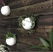 Pack of 3 White Pots Ceramic Planters, Wall Mountable Vase, Wall Hanging Succulent Pots, Decorative Ceramic Flower Planters(4")