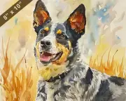 Australian Cattle Dog watercolor painting in a picturesq 8x10 Print
